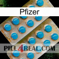 Pfizer new08